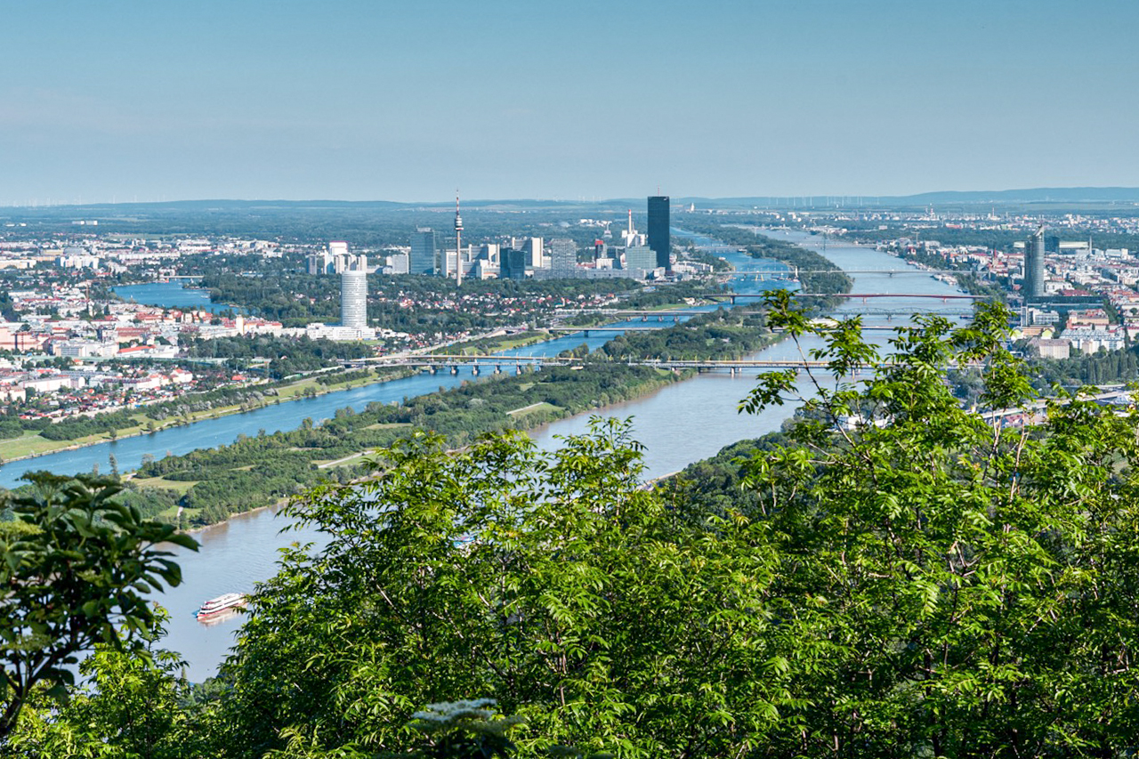 Blick vom Leopoldsberg Richtung Donauinsel © Stadt Wien / Reinhard Mandl